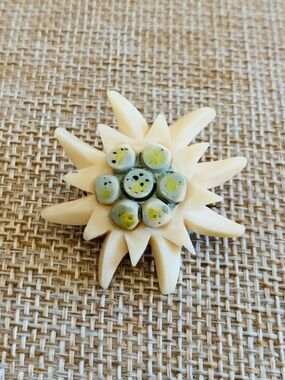 EDELWEISS Antique Carved Celluloid Flower Brooch